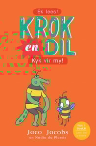 Krok en Dil Vlak 1 Boek 6