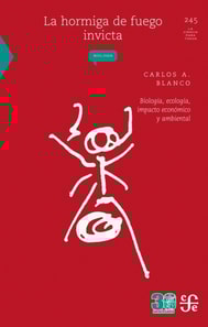La hormiga de fuego invicta