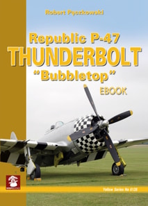 Republic P-47 Thunderbolt "e;Bubbletop"e;