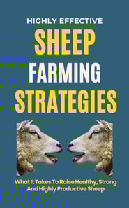 Highly Effective Sheep Farming Strategies: What It Takes To Raise Healthy, Strong And Highly Productive Sheep