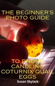 Beginner's Photo Guide to Phone Candling Coturnix Quail Eggs