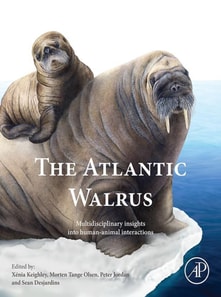 Atlantic Walrus