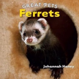 Ferrets
