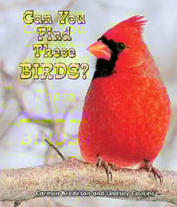 Can You Find These Birds?