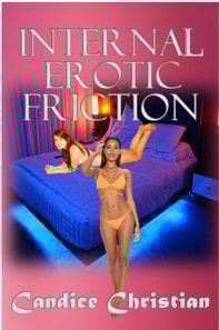Internal Erotic Friction