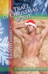 Trace of Christmas Spirit