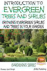 Introduction to Evergreen Trees and Shrubs: Growing Evergreen Shrubs and Trees in Your Garden