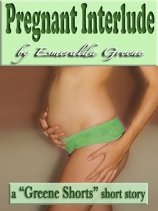 Pregnant Interlude; A Short Story of Eroticized Pregnancy