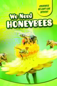 We Need Honeybees