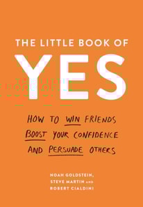Little Book of Yes