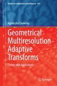 Geometrical Multiresolution Adaptive Transforms