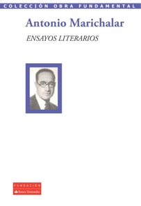 Ensayos literarios