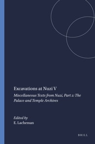 Excavations at Nuzi V