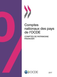 Comptes nationaux des pays de l'OCDE, Comptes de patrimoine financier 2017