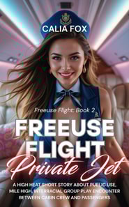 Free Use Flight - Private Jet