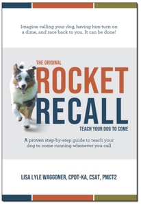 Original Rocket Recall
