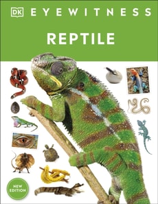 Reptile