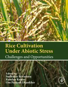 Rice Cultivation Under Abiotic Stress