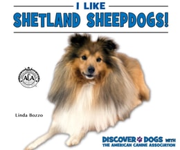I Like Shetland Sheepdogs!