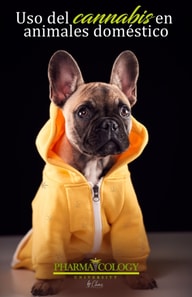 Uso del cannabis en animales domesticos