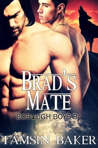 Brad's Mate - M/M Paranormal Romance