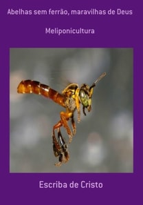 MELIPONAS - MARAVILHAS DE DEUS
