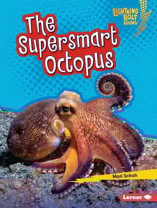 Supersmart Octopus