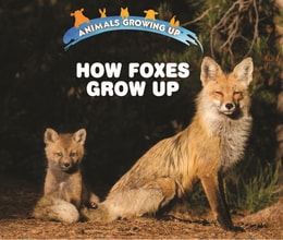 How Foxes Grow Up