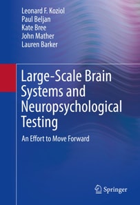 Large-Scale Brain Systems and Neuropsychological Testing