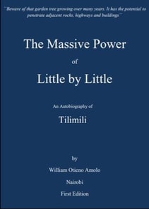 Massive Power of Little by Little