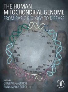 Human Mitochondrial Genome