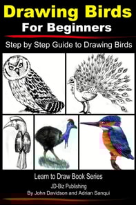 Drawing Birds for Beginners: Step by Step Guide to Drawing Birds