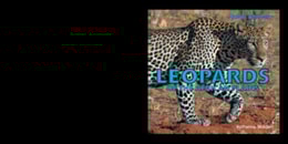 Leopards of the African Plains