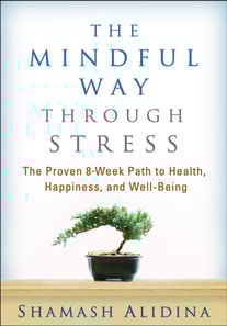 Mindful Way through Stress