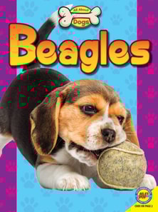 Beagles