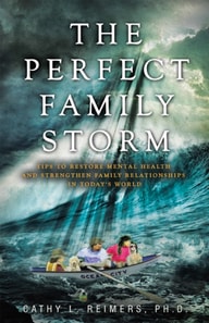 Perfect Family Storm
