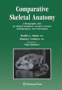 Comparative Skeletal Anatomy