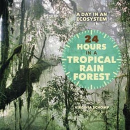 24 Hours in a Tropical Rain Forest