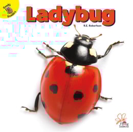 Ladybug