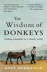 Wisdom of Donkeys
