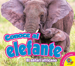 Conoce al elefante