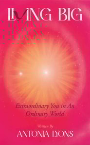 Living Big: Extraordinary You in an Ordinary World