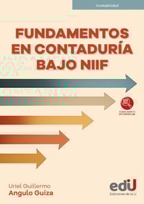 Fundamentos en contaduría bajo NIIF