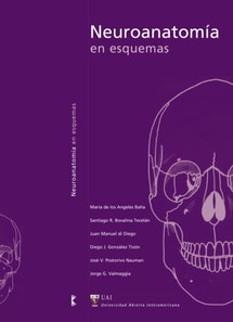 Neuroanatomia en esquemas