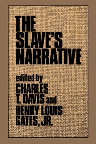 Slave's Narrative