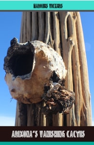Arizona's Vanishing Cactus