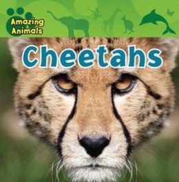 Cheetahs