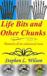 Life Bits and Other Chunks - Memoirs of an Untrained Man