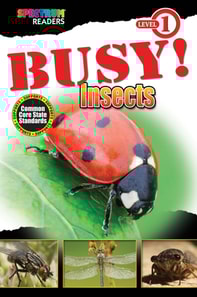 BUSY! Insects