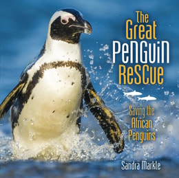 Great Penguin Rescue